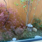 ほしやま鍼灸院　坪庭